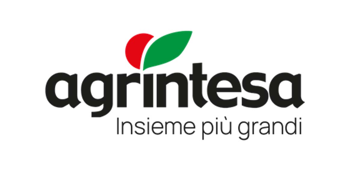 Agrintesa, nel vivo la campagna 2025: qualità in campo e mercati dinamici